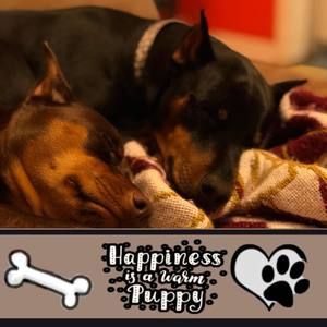 Meet your Posher, Amber